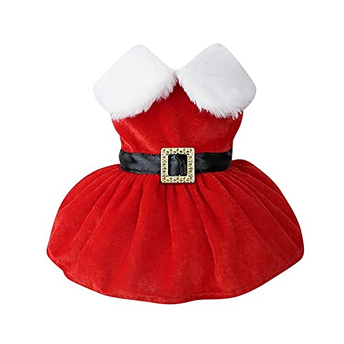BT Bear Haustier-Weihnachtskostüm für Hunde, Weihnachtsmann-Kostüme für Welpen, kleine Hunde (Größe M) von BT Bear