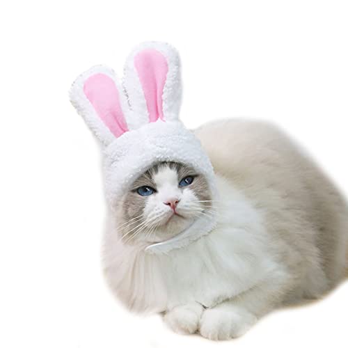 BT Bear Haustiermütze für Katzen, Kopfbedeckung mit Hasenohren und Kaninchenohren, warm, für den Winter, Kopfbedeckung, Festival, Kostüm, Zubehör (weiß) von BT Bear