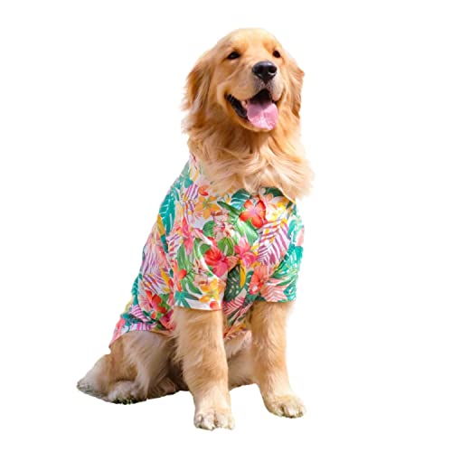 BT Bear Hunde-Hawaii-Hemden, Sommerkleidung, atmungsaktive Hunde-Baumwoll-T-Shirts 3XL-8XL für mittelgroße und große Hunde (6XL, rot) von BT Bear