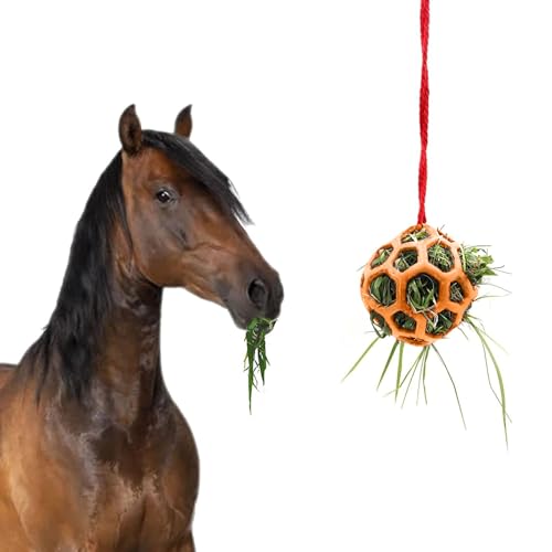 BT Bear Heu-Futterball für Haustiere, zum Aufhängen, interaktives Futterspielzeug für Kaninchen, Ziegen, Pony, Orange von BT Bear