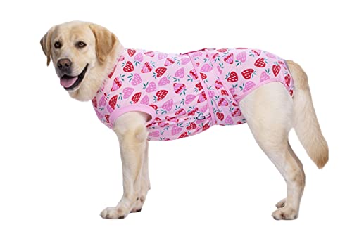 BT Bear Hunde-Genesungsanzug für Hunde nach Operationen, Haustiere, chirurgische Kleidung, Hunde, Bauchwunden, Schutz für Hunde, postoperative Genesungsanzug (Rosa, XXL) von BT Bear
