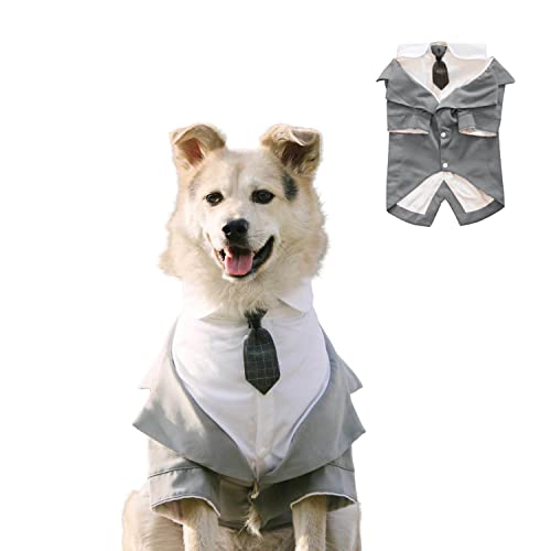 BT Bear Hunde-Smoking, Hochzeitsanzug und Bandana, Set für Hunde, formelles Hemd, Haustier-Hochzeits-Party, Hochzeit, Fliege, Hemd für mittelgroße und große Hunde (Grau, Größe 3XL) von BT Bear