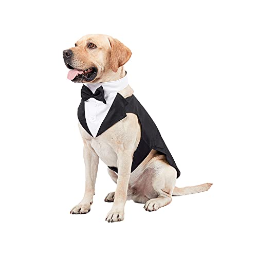 BT Bear Hunde-Smoking, Hunde-Hochzeitsanzug, Bandana-Set, formelles Hemd mit abnehmbarer Fliege für kleine Hunde, Outfit für Party, Geburtstag, Festival (Streifen, S) von BT Bear