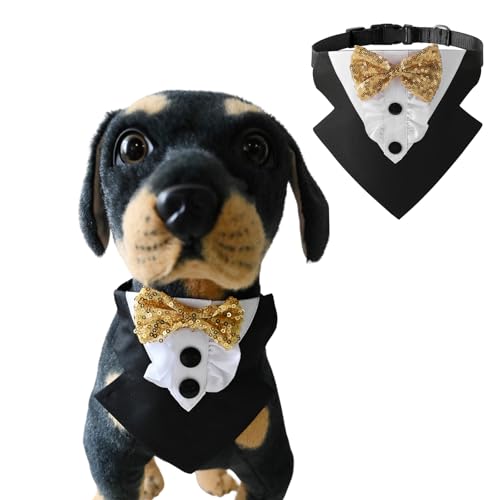 BT Bear Hunde-Smoking, formelles Hundehalstuch, Halsband mit Fliege, Hundekostüm, verstellbar, Haustierparty, Smoking, Hochzeitskleidung, Valentinstagsoutfit für kleine Hunde, mittelgroße Hunde (Gold, BT Bear Hunde-Smoking, formelles Hundehalstuch, Halsband mit Fliege, Hundekostüm, verstellbar, Haustierparty, Smoking, Hochzeitskleidung, Valentinstagsoutfit für kleine Hunde, mittelgroße Hunde (Gold, von BT Bear