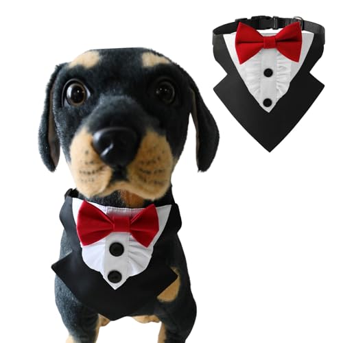 BT Bear Hunde-Smoking, formelles Hundehalstuch, Halsband mit Fliege, Hundekostüm, verstellbar, Haustierparty, Smoking, Hochzeitskleidung, Valentinstagsoutfit für kleine und mittelgroße Hunde (Rot, S) BT Bear Hunde-Smoking, formelles Hundehalstuch, Halsband mit Fliege, Hundekostüm, verstellbar, Haustierparty, Smoking, Hochzeitskleidung, Valentinstagsoutfit für kleine und mittelgroße Hunde (Rot, S) von BT Bear