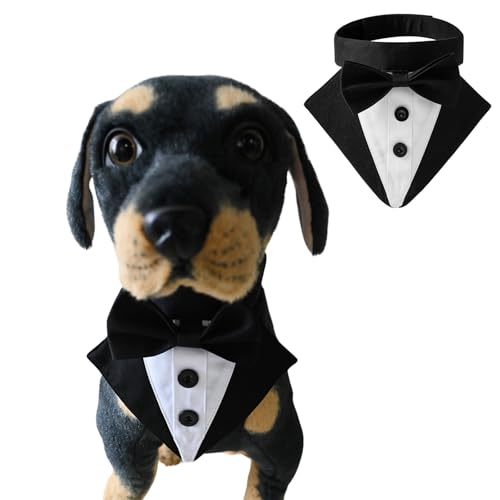 BT Bear Hunde-Smoking, formelles Hundehalstuch, Halsband mit Fliege, Hundekostüm, verstellbar, Haustierparty, Smoking, Hochzeitskleidung, Valentinstagsoutfit für kleine und mittelgroße Hunde (Schwarz, BT Bear Hunde-Smoking, formelles Hundehalstuch, Halsband mit Fliege, Hundekostüm, verstellbar, Haustierparty, Smoking, Hochzeitskleidung, Valentinstagsoutfit für kleine und mittelgroße Hunde (Schwarz, von BT Bear