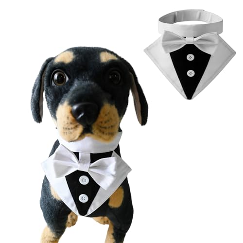 BT Bear Hunde-Smoking, formelles Hundehalstuch, Halsband mit Fliege, Hundekostüm, verstellbar, Haustierparty, Smoking, Hochzeitskleidung, Valentinstagsoutfit für kleine und mittelgroße Hunde (Weiß, S) BT Bear Hunde-Smoking, formelles Hundehalstuch, Halsband mit Fliege, Hundekostüm, verstellbar, Haustierparty, Smoking, Hochzeitskleidung, Valentinstagsoutfit für kleine und mittelgroße Hunde (Weiß, S) von BT Bear