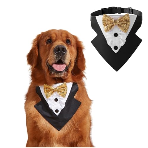 BT Bear Hunde-Smoking, formelles Hundehalstuch, Halsband mit Fliege, Hundekostüm, verstellbar, Haustierparty, Smoking, Hochzeitskleidung, Valentinstagsoutfit für mittelgroße und große Hunde (Gold, L) BT Bear Hunde-Smoking, formelles Hundehalstuch, Halsband mit Fliege, Hundekostüm, verstellbar, Haustierparty, Smoking, Hochzeitskleidung, Valentinstagsoutfit für mittelgroße und große Hunde (Gold, L) von BT Bear