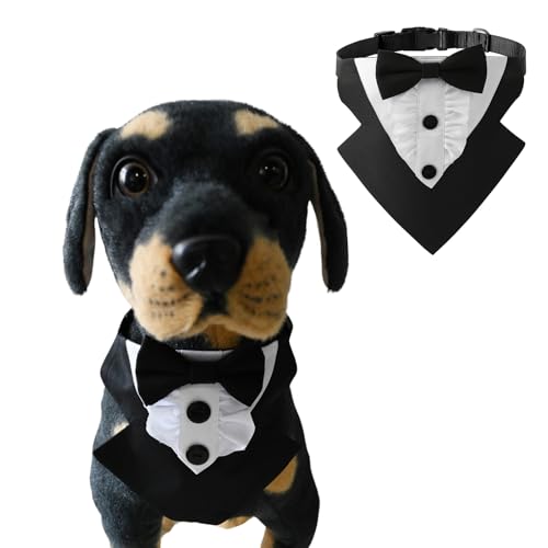 BT Bear Hunde-Smoking, formelles Hundehalstuch, Halsband mit Fliege, Hundekostüm, verstellbar, Haustierparty, Valentinstagsoutfit für kleine und mittelgroße Hunde (Schwarz, M) von BT Bear