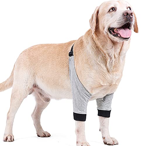 BT Bear Hunde-Vorderbein-Sprunggelenkbandage schützt Wunden, Kompressionsbandage mit Riemen für Heilungen und beugt Verletzungen und Verstauchungen vor, hilft Arthritis für kleine, mittelgroße und BT Bear Hunde-Vorderbein-Sprunggelenkbandage schützt Wunden, Kompressionsbandage mit Riemen für Heilungen und beugt Verletzungen und Verstauchungen vor, hilft Arthritis für kleine, mittelgroße und von BT Bear