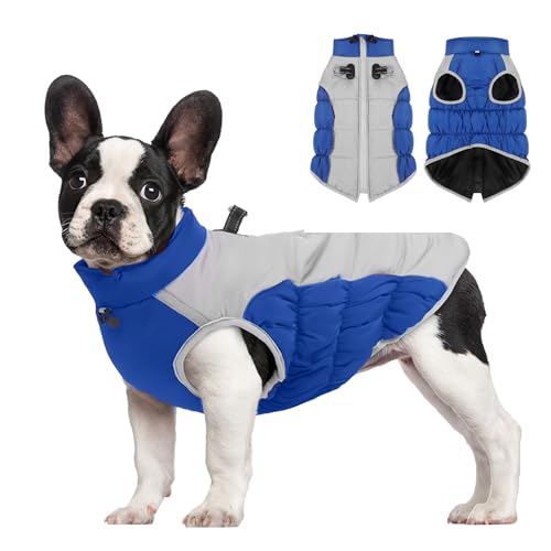 BT Bear Hunde-Wintermantel, verstellbar, wasserdicht, reflektierend, warme Hundejacke, kaltes Wetter, Haustier-Outdoor-Kleidung für mittelgroße Hunde, große Hunde, XXL, Blau von BT Bear
