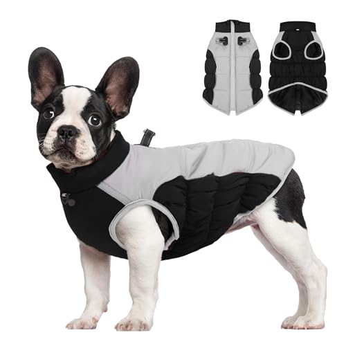 BT Bear Hunde-Wintermantel, verstellbar, wasserdicht, reflektierend, warme Jacke, kaltes Wetter, Haustier-Outdoor-Kleidung für mittelgroße Hunde und große Hunde, Größe 4XL, Schwarz von BT Bear