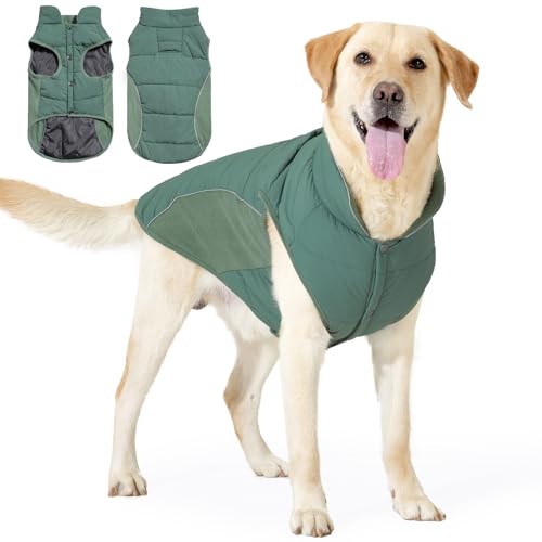 BT Bear Hunde-Wintermantel, warme, wasserdichte Jacke für große Hunde, Welpen-Winterjacke, winddichte Hundeweste, Grün, XXL von BT Bear