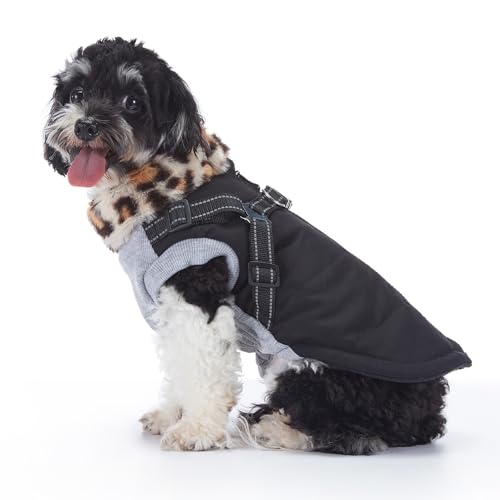 BT Bear Hunde-Wintermantel, warme Hundejacke, Plüschkragen, reflektierend, mit Geschirr, winddicht, Outdoor-Kleidung für Welpen, kleine Hunde (Größe M, Schwarz) von BT Bear