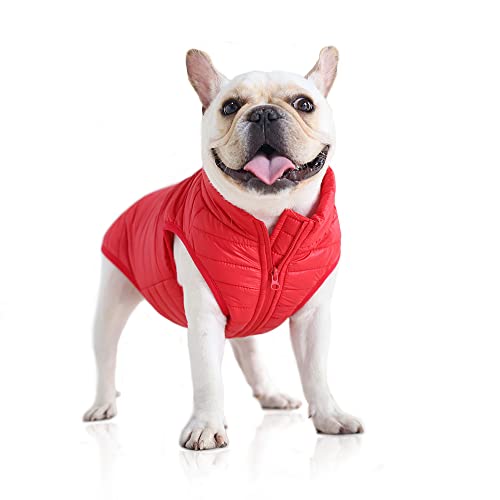 BT Bear Hunde-Wintermantel mit D-Ring, superleichte kleine Hunde, warmer Mantel, Reißverschluss, wasserdicht, für Haustiere, Katzen, warme Jacke für Welpen, kleine Hunde (S, Rot) von BT Bear