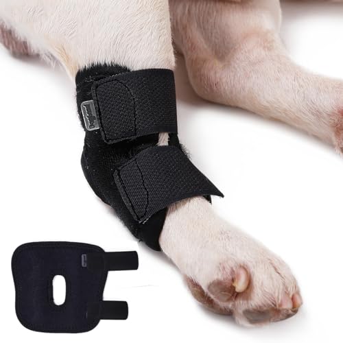 BT Bear Hundebandage für vorne und hinten, kurze Beinbandage schützt Wunden, heilt und verhindert Verletzungen und Verstauchungen, Größe M von BT Bear