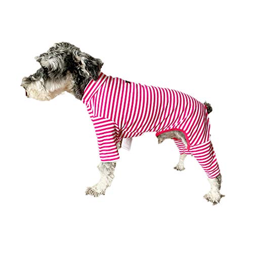 BT Bear Hundekleidung, elastisch, klassisch, gestreift, schützt die Gelenke, Anti-Haare, vierbeiniger Hunde-Pyjama für kleine Hunde, Jumpsuit für Katzen, Welpen, kleine Hunde von BT Bear