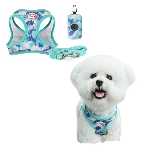 BT Bear Hundegeschirr, 3-in-1-Hundegeschirr, Leine und Tasche, verstellbar, kein Ziehen, D-Ring, reflektierendes Netzgewebe, für Welpen, kleine Hunde, Blau, Größe M BT Bear Hundegeschirr, 3-in-1-Hundegeschirr, Leine und Tasche, verstellbar, kein Ziehen, D-Ring, reflektierendes Netzgewebe, für Welpen, kleine Hunde, Blau, Größe M von BT Bear