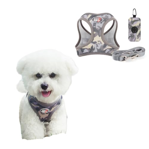 BT Bear Hundegeschirr, 3-in-1-Hundegeschirr, Leine und Tasche, verstellbar, kein Ziehen, D-Ring, reflektierendes Netzgewebe, für Welpen, kleine Hunde, Grau, Größe M BT Bear Hundegeschirr, 3-in-1-Hundegeschirr, Leine und Tasche, verstellbar, kein Ziehen, D-Ring, reflektierendes Netzgewebe, für Welpen, kleine Hunde, Grau, Größe M von BT Bear