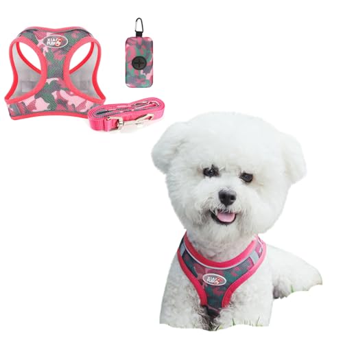 BT Bear Hundegeschirr, 3-in-1-Hundegeschirr, Leine und Tasche, verstellbar, kein Ziehen, D-Ring, reflektierendes Netzgewebe, für Welpen, kleine Hunde, Rot, Größe S BT Bear Hundegeschirr, 3-in-1-Hundegeschirr, Leine und Tasche, verstellbar, kein Ziehen, D-Ring, reflektierendes Netzgewebe, für Welpen, kleine Hunde, Rot, Größe S von BT Bear
