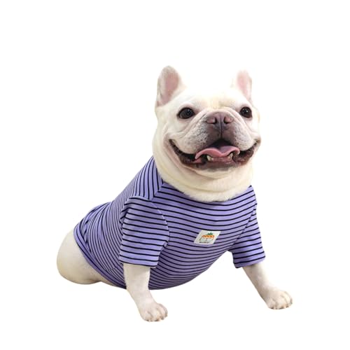 BT Bear Hundepullover mit Kapuze, elastisches, gestreiftes Hemd, warmer Hundepullover, dicke Hundepullover, Winter, warme Weste für Bulldoggen, kleine Hunde, mittelgroße Hunde, kaltes Wetter, Violett, BT Bear Hundepullover mit Kapuze, elastisches, gestreiftes Hemd, warmer Hundepullover, dicke Hundepullover, Winter, warme Weste für Bulldoggen, kleine Hunde, mittelgroße Hunde, kaltes Wetter, Violett, von BT Bear