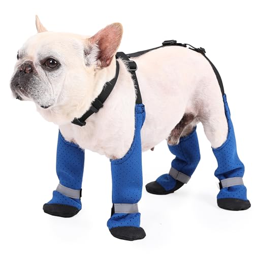 BT Bear Hundeschuhe, atmungsaktiv, rutschfest und schmutzabweisend, für den Außenbereich, vierbeinig, reflektierend, Pfotenschutz für kleine Hunde, mittelgroße Hunde, Outdoor, Spaziergänge, Wandern, BT Bear Hundeschuhe, atmungsaktiv, rutschfest und schmutzabweisend, für den Außenbereich, vierbeinig, reflektierend, Pfotenschutz für kleine Hunde, mittelgroße Hunde, Outdoor, Spaziergänge, Wandern, von BT Bear
