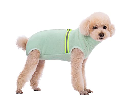 BT Bear Kleiner Hundepullover, weiches Fleece mit reflektierender Weste, Hunde-Sweatshirt, Welpen-Winterkleidung, warme Jacke, Mantel, Kleidung (Mintgrün, S) BT Bear Kleiner Hundepullover, weiches Fleece mit reflektierender Weste, Hunde-Sweatshirt, Welpen-Winterkleidung, warme Jacke, Mantel, Kleidung (Mintgrün, S) von BT Bear