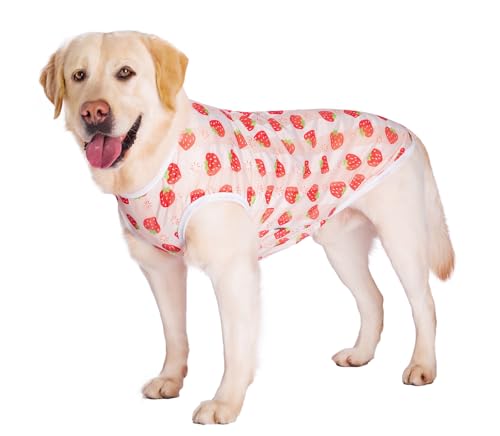 BT Bear Kühlshirt für Hunde, schnell trocknend, Sonnenschutz, kühlendes T-Shirt, atmungsaktives Netzgewebe, kühlende Weste für mittelgroße und große Hunde, Erdbeere, Größe 3XL von BT Bear