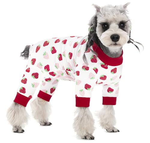 BT Bear Schlafanzug für kleine Hunde, weiche Baumwolle, niedlicher Schlafanzug, Erdbeere, Größe M, Weiß BT Bear Schlafanzug für kleine Hunde, weiche Baumwolle, niedlicher Schlafanzug, Erdbeere, Größe M, Weiß von BT Bear