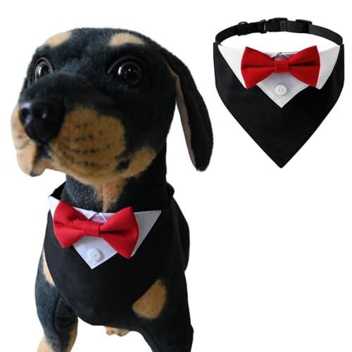BT Bear Smoking-Bandana-Halsband für Hunde, verstellbar, mit Schleife, Halstuch für Katzen, Welpen, kleine Hunde, Hochzeiten, Geburtstage, Partys, Schwarz, Größe S BT Bear Smoking-Bandana-Halsband für Hunde, verstellbar, mit Schleife, Halstuch für Katzen, Welpen, kleine Hunde, Hochzeiten, Geburtstage, Partys, Schwarz, Größe S von BT Bear
