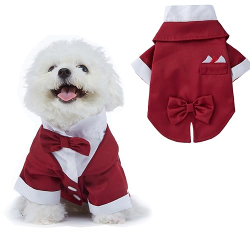 BT Bear Smokinganzug für kleine Hunde, Hochzeit, formelles Hemd, Hundeanzug, formeller Smoking mit schwarzer Fliege, für kleine und mittelgroße Hunde, Outfit für Party, Geburtstag, Festival, Rot, BT Bear Smokinganzug für kleine Hunde, Hochzeit, formelles Hemd, Hundeanzug, formeller Smoking mit schwarzer Fliege, für kleine und mittelgroße Hunde, Outfit für Party, Geburtstag, Festival, Rot, von BT Bear