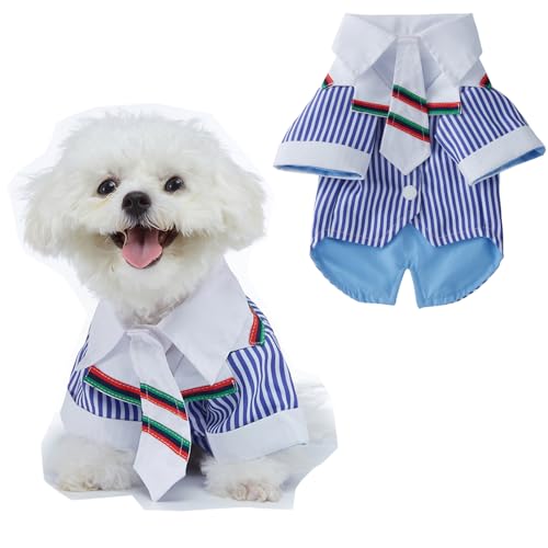 BT Bear Smokinganzug für kleine Hunde, Hochzeit, formelles Hemd, Hundeanzug, formeller Smoking mit schwarzer Fliege, für kleine und mittelgroße Hunde, Outfit für Party, Geburtstag, Festival, blau von BT Bear