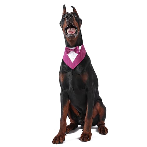 BT Bear Smokinghalsband für Haustiere, Hochzeits-Outfit, Fliege für Katzen, Welpen, kleine Hunde, Outfit, Party, Geburtstag, Weihnachten, violette Streifen, Größe S von BT Bear