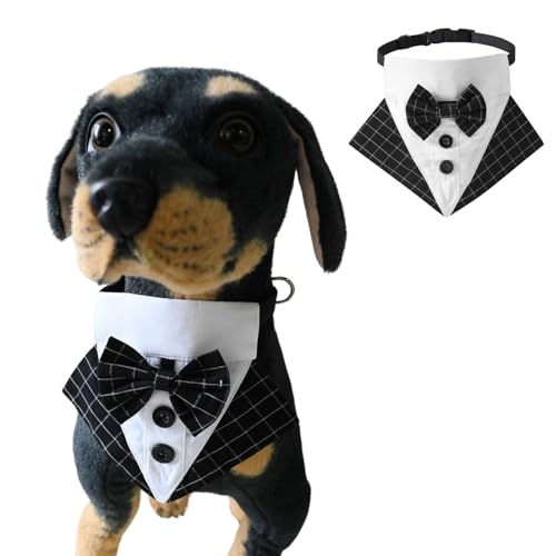 BT Bear Smokinghalsband für Hunde, Halstuch, mit Fliege, verstellbares Halstuch für Katzen, Welpen, kleine und mittelgroße Hunde, Outfit, Party, Geburtstag, Festival, Schwarz, Größe M BT Bear Smokinghalsband für Hunde, Halstuch, mit Fliege, verstellbares Halstuch für Katzen, Welpen, kleine und mittelgroße Hunde, Outfit, Party, Geburtstag, Festival, Schwarz, Größe M von BT Bear