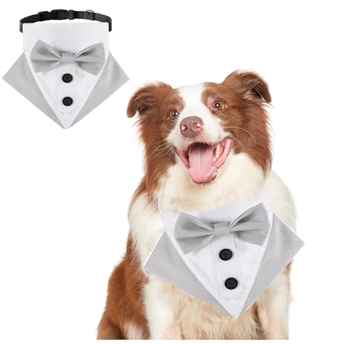 BT Bear Smokinghalsband für Hunde, formelle Hunde, Hochzeit, Bandana, Geburtstagskostüm für Katzen, Welpen, kleine Hunde, mittelgroße Hunde, Outfit, Party, Festival, Grau, Größe M BT Bear Smokinghalsband für Hunde, formelle Hunde, Hochzeit, Bandana, Geburtstagskostüm für Katzen, Welpen, kleine Hunde, mittelgroße Hunde, Outfit, Party, Festival, Grau, Größe M von BT Bear
