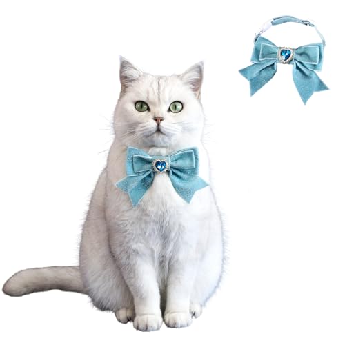BT Bear Weihnachtshalsband für Katzen, handgefertigt, Samt, Weihnachtsfliege, Haustier-Neujahrs-Halsband für Katzen, Welpen, kleine Hunde, Blau, 2 Stück BT Bear Weihnachtshalsband für Katzen, handgefertigt, Samt, Weihnachtsfliege, Haustier-Neujahrs-Halsband für Katzen, Welpen, kleine Hunde, Blau, 2 Stück von BT Bear