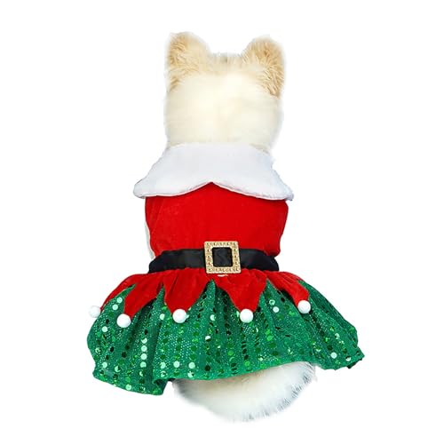 BT Bear Weihnachtskostüm für Hunde, Samt, Weihnachtsmann, Haustierkleidung, Winterrock, Outfit, Party-Kostüm für Katzen, Welpen, kleine Hunde, grünes Kleid, Größe XL BT Bear Weihnachtskostüm für Hunde, Samt, Weihnachtsmann, Haustierkleidung, Winterrock, Outfit, Party-Kostüm für Katzen, Welpen, kleine Hunde, grünes Kleid, Größe XL von BT Bear