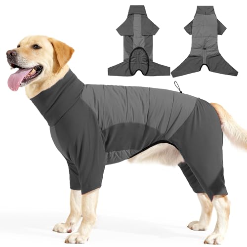 BT Bear Winterkleidung für Hunde, warmer Hundemantel, verstellbar, für kaltes Wetter, Einteiler für mittelgroße und große Hunde, Grau, Größe XXL von BT Bear