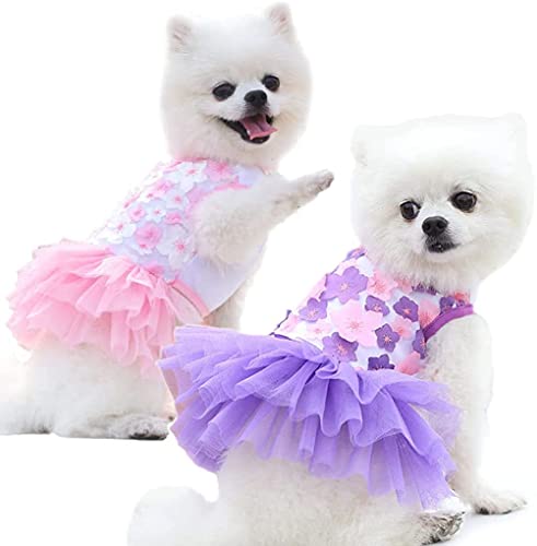 Haustier-Hunde-Kleidung, 2 Stück, Rock Prinzessinnen-Kleider, Süßigkeitenkleider, Blume, Hund, Tutu, Spitzenkleid, Rock für kleine Hunde, Mädchen, Katzen, Hunde von BT Bear