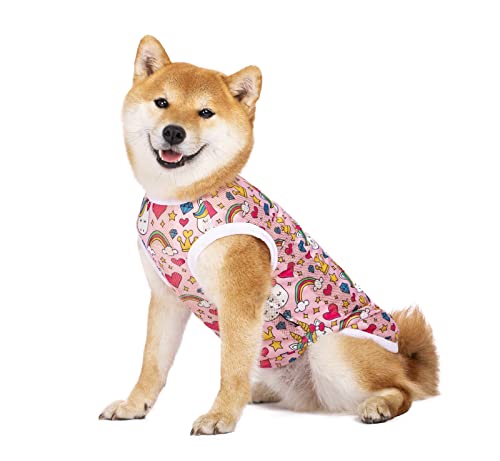 Haustierkleidung, Sommer-T-Shirt, kühl, atmungsaktiv, Sonnenschutz, Hundeweste, Kleidung, Outfit für mittelgroße und große Hunde (6XL, Regenbogen) von BT Bear
