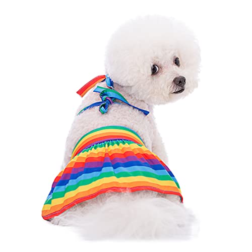 Hunde-Bikini, Haustier-Badeanzug, Blume, Badeanzug, Haustier-Sommer-Strandkleid, Kleidung für Katzen, Welpen, kleine Hunde (groß, Regenbogen) von BT Bear