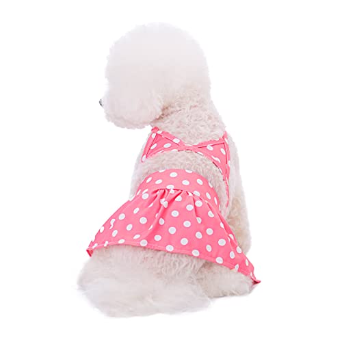 Hunde-Bikini, Leopardenmuster, Regenbogen-Blume, für den Sommer, Strandkleidung für Katzen, Welpen, kleine Hunde, groß, rosa gepunktet von BT Bear