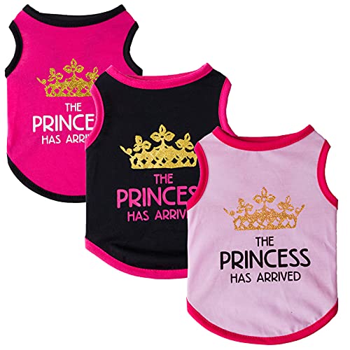 Hundekleidung, 3 Stück, bedruckt, Prinzessin, Haustierweste, T-Shirt, Hundekleidung, Kostüm für Katzen, Welpen, kleine Hunde, mittelgroße Hunde (Prinzessin, Größe M) von BT Bear