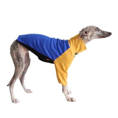 Leichter Windhund-Wintermantel, Whippet, Salukis, Hunde-T-Shirt, Frühling, Herbst, Hunde-Pyjama (Gelbblau, M) von BT Bear