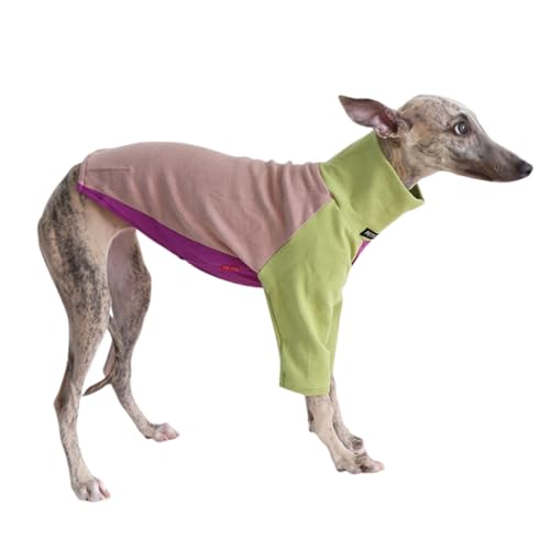 Leichter Windhund-Wintermantel, Whippet, Salukis, Hunde-T-Shirt, Frühling, Herbst, Hunde-Pyjama (Grün-Rosa, Größe M) von BT Bear