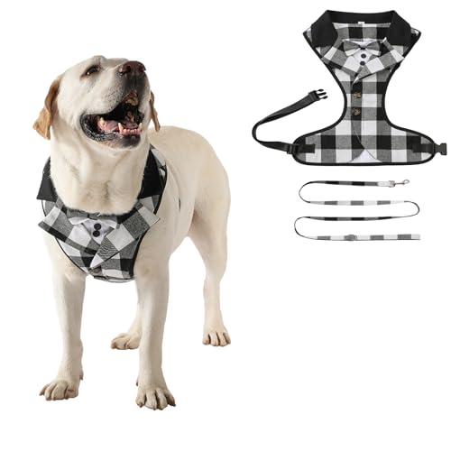 Smokinggeschirr mit Leine, verstellbar, formelle Weste, Geschirr, Frack für Welpen, kleine Hunde, mittelgroße Hunde, Schwarz, Größe S Smokinggeschirr mit Leine, verstellbar, formelle Weste, Geschirr, Frack für Welpen, kleine Hunde, mittelgroße Hunde, Schwarz, Größe S von BT Bear