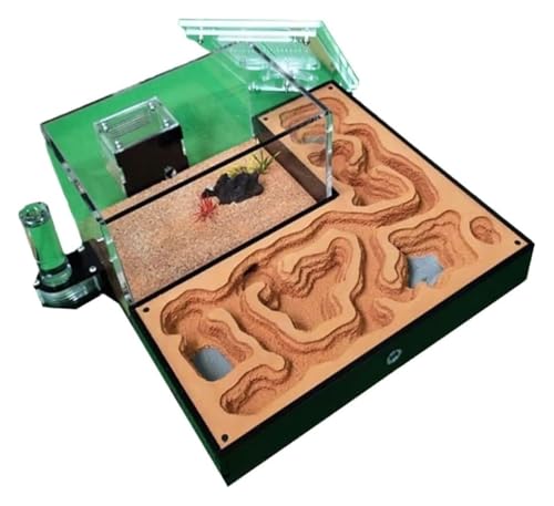 Natürliche Ameisenfarm, Ameisenfarm, Ameisenhaus, Ameisennest, Ameisenfarm, Ameisenverhalten Lernen, ökologisches Ameisenschloss aus Gips, Acryllabyrinth, Ameisennestfarm, Ameisenfarm for Ameisen Natürliche Ameisenfarm, Ameisenfarm, Ameisenhaus, Ameisennest, Ameisenfarm, Ameisenverhalten Lernen, ökologisches Ameisenschloss aus Gips, Acryllabyrinth, Ameisennestfarm, Ameisenfarm for Ameisen von BTBTB