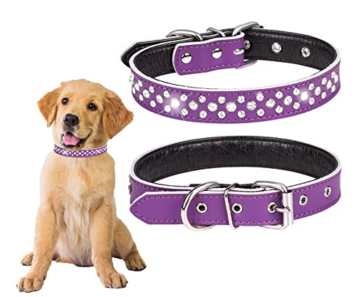 BTDCFY Rhinestones Haustier-Hundehalsband, verstellbar, funkelnd, mit Kristallnieten, echtes Leder, für kleine und mittelgroße Hunde, 2,5 cm breit (L (Halsumfang 36,8–45,7 cm), Violett von BTDCFY