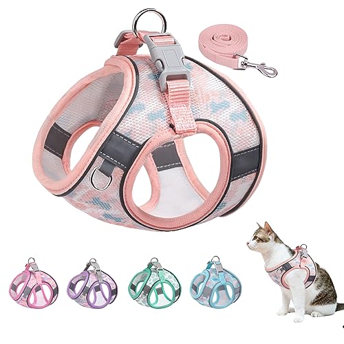 BTDCFY Step In Mesh Hundegeschirr und Leine, Set, atmungsaktiv, Air-Mesh-reflektierend, ausbruchsicher, kein Würgen, leichtes Mesh-Hundegeschirr (XXS, Hals: 21,6 cm - 24,1 cm, Brust: 25,4 cm - 29,2 von BTDCFY