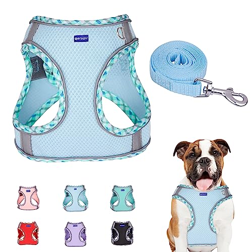 BTDCFY Step in Mesh Hundegeschirr und Leine, Set, atmungsaktiv, Air-Mesh, reflektierend, ausbruchsicher, Hundegeschirr, Weste, kein Würgen, leichtes Netz-Hundegeschirr BTDCFY Step in Mesh Hundegeschirr und Leine, Set, atmungsaktiv, Air-Mesh, reflektierend, ausbruchsicher, Hundegeschirr, Weste, kein Würgen, leichtes Netz-Hundegeschirr von BTDCFY